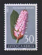 flora srčenjak poštanska marka