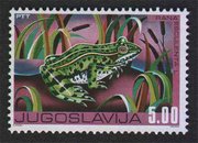 Zelena žaba - Rana esculenta