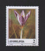 poštanska marka 1991  krokusi 2 dinara